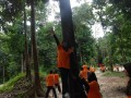 Tn DSC 6212